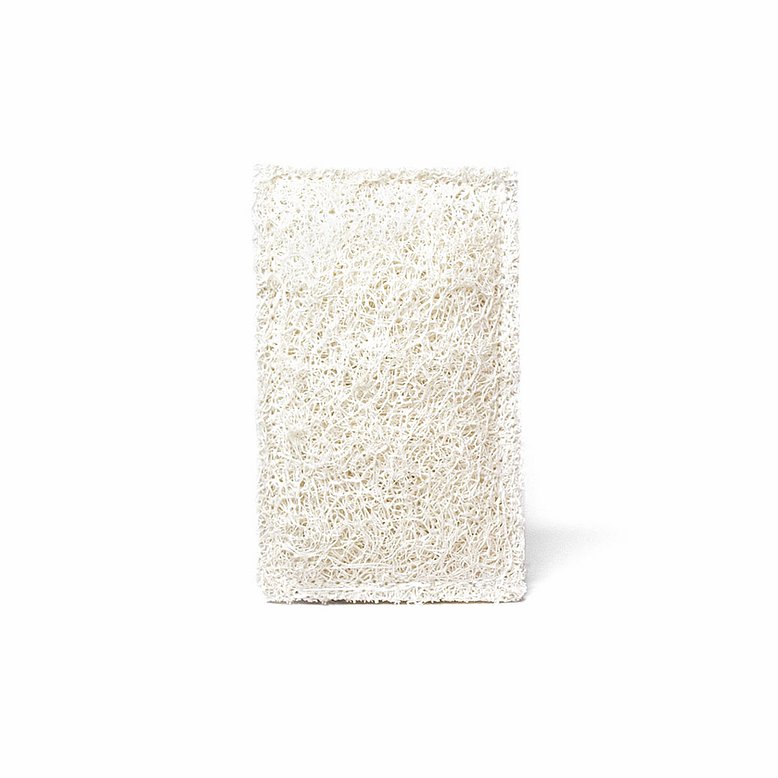 WEB_2911468_Luffa_Schwamm